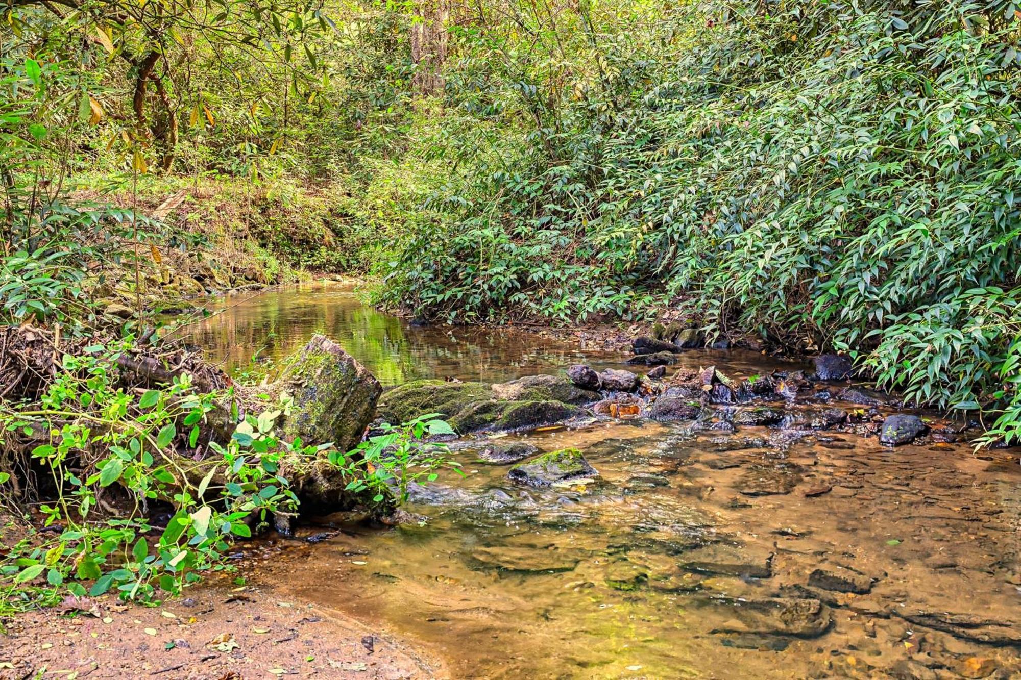 Laurel Creek Βίλα Helen Εξωτερικό φωτογραφία